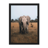 Black Frame Framed art print Front