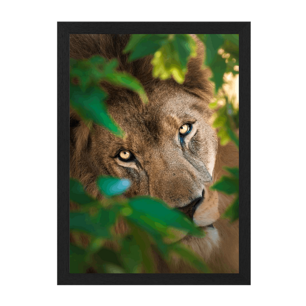 Black Frame Framed art print Front