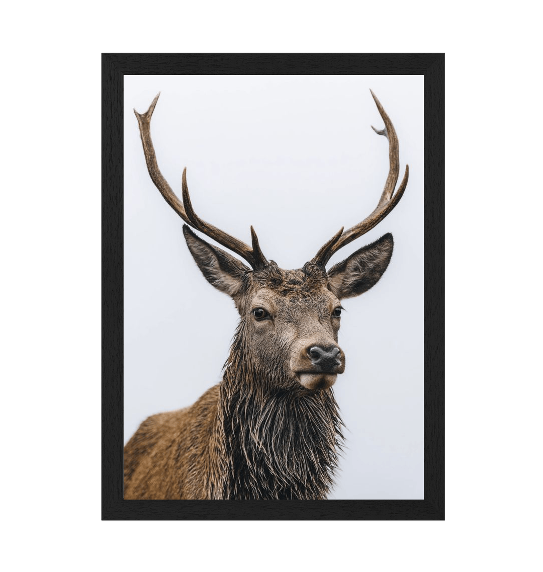 Black Frame Framed art print Front