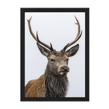 Black Frame Framed art print Front