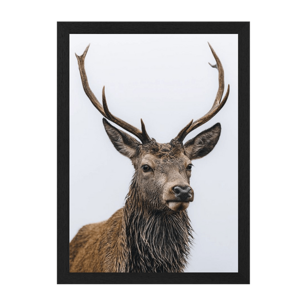 Black Frame Framed art print Front