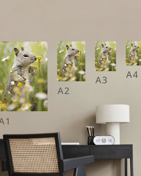 Daisy Love Canvas Portrait Recycled