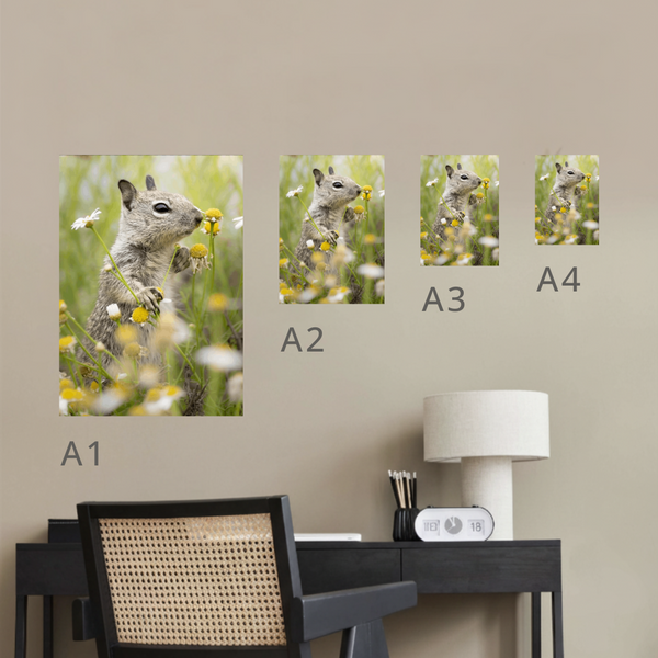 Daisy Love Canvas Portrait Recycled