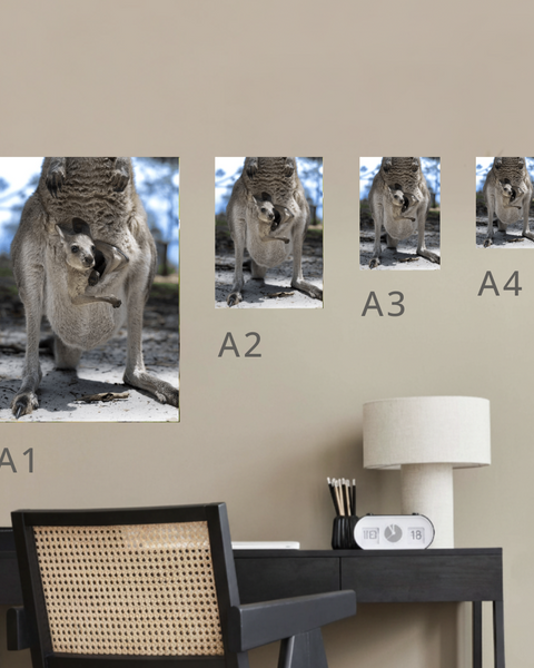 Joey Canvas Portrait Recycled