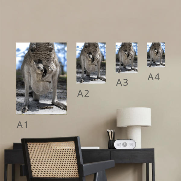 Joey Canvas Portrait Recycled