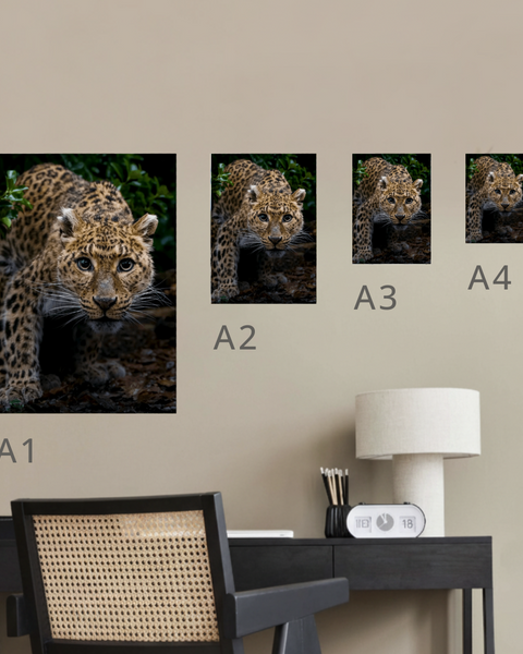 Atara Canvas Portrait Recycled