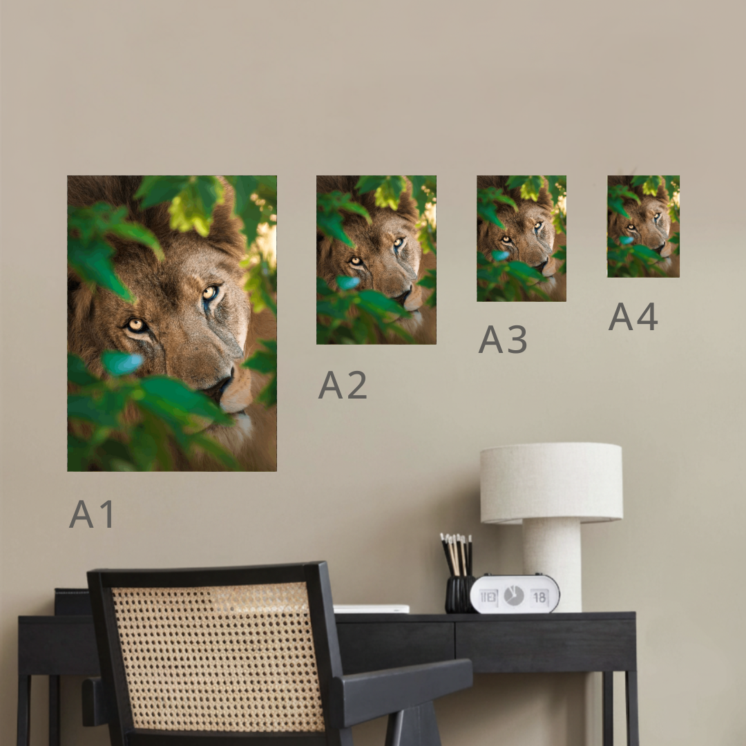 King Kasanga Canvas Portrait Recycled