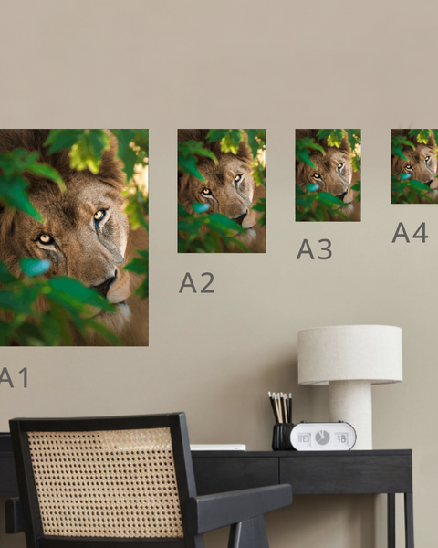 King Kasanga Canvas Portrait Recycled