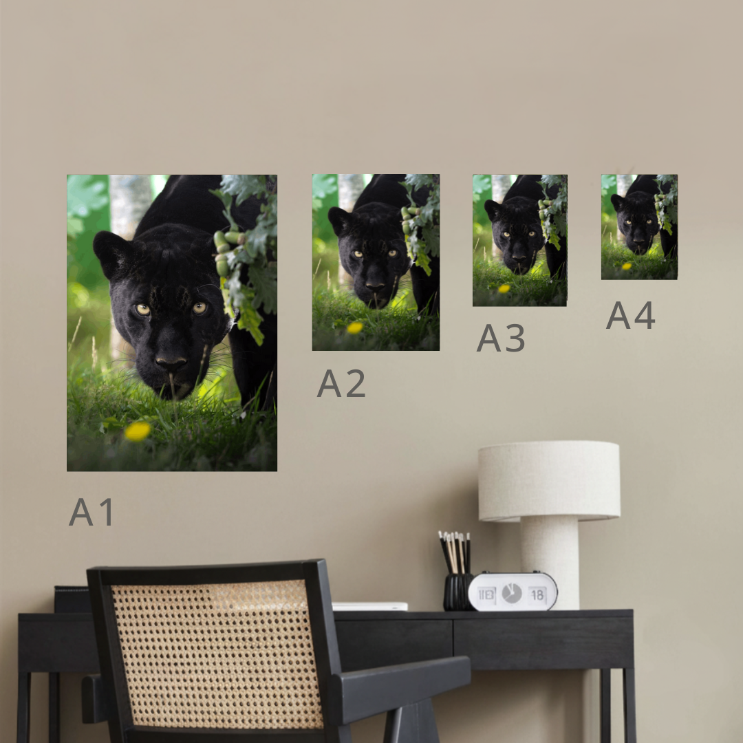 Black Jaguar Canvas Portrait Recycled