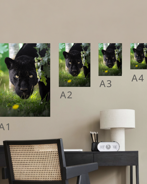 Black Jaguar Canvas Portrait Recycled