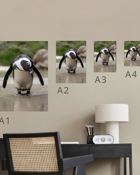 African Penguin Canvas Portrait Recycled