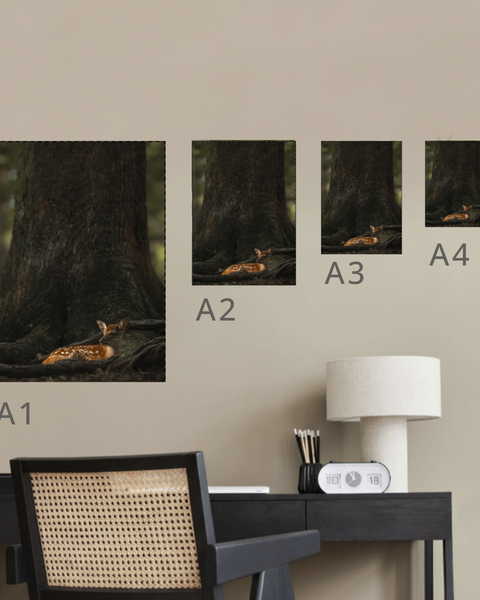 Sika Deer Fawn Canvas Portrait Recycled