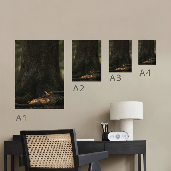 Sika Deer Fawn Canvas Portrait Recycled