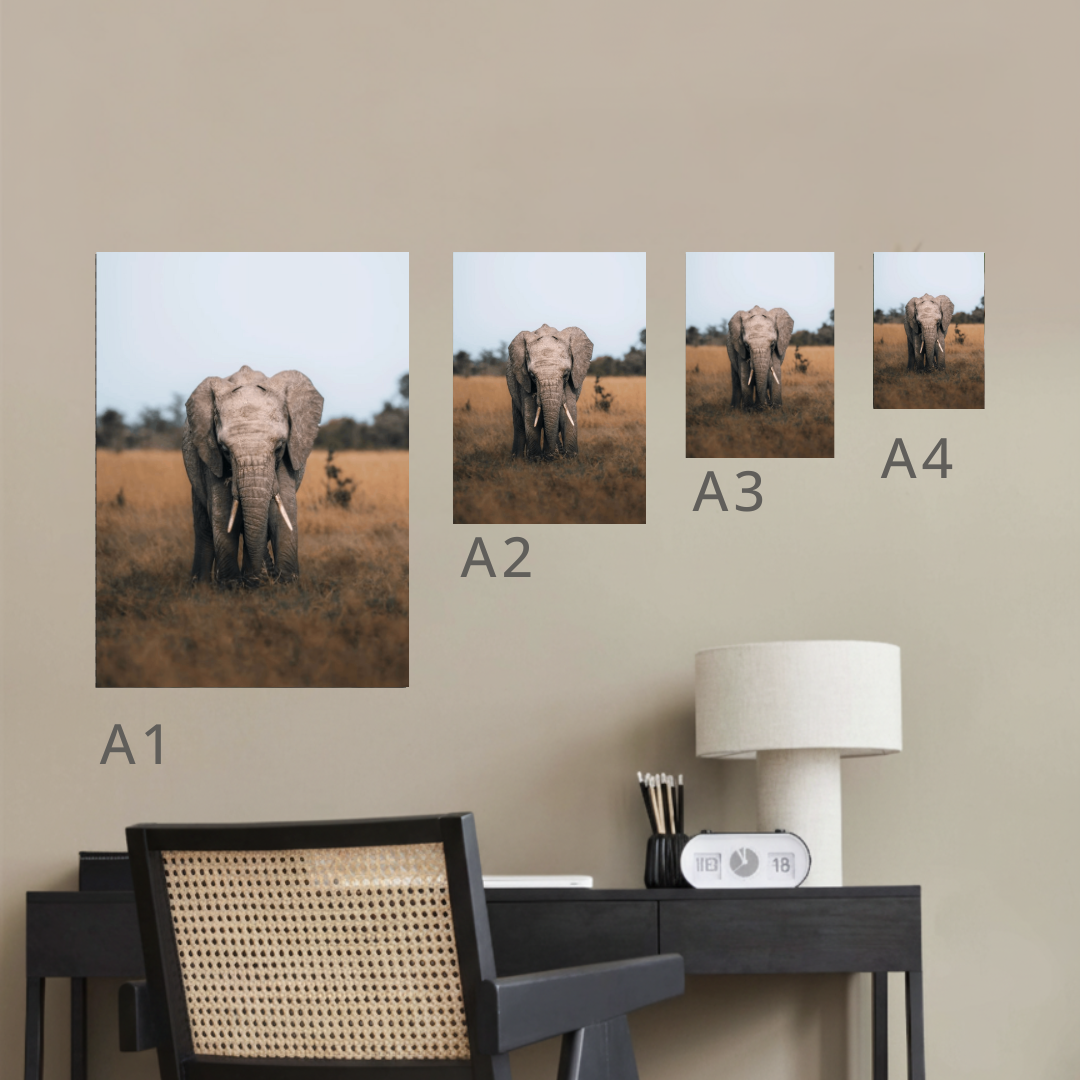 African Elephant Canvas Portrait Recycled