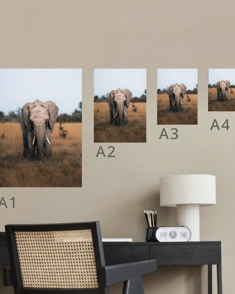 African Elephant Canvas Portrait Recycled