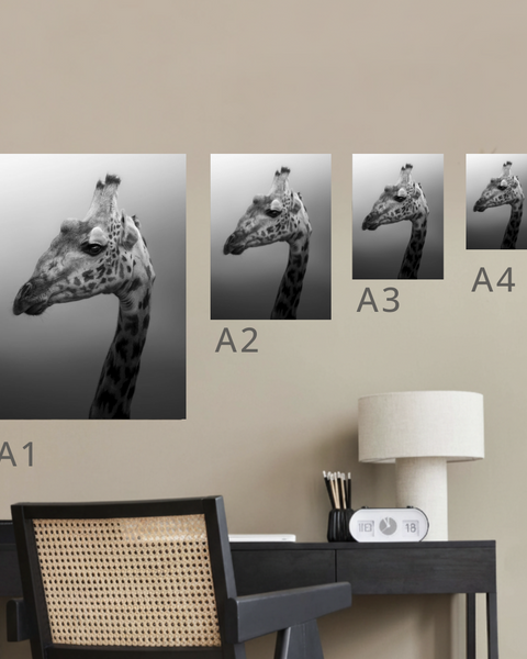 Masai Giraffe B&W Canvas Portrait Recycled