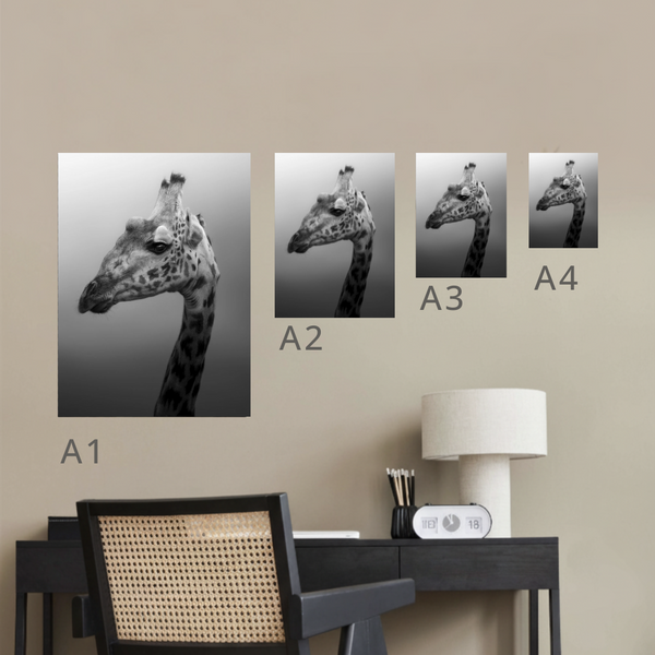 Masai Giraffe B&W Canvas Portrait Recycled