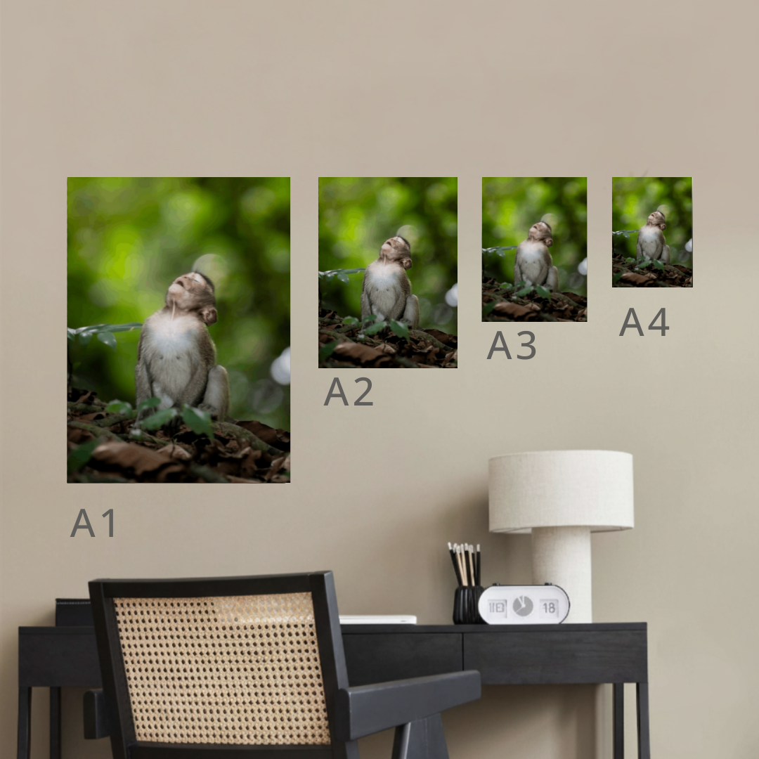 Long-Tailed Macaque Canvas Portrait Recycled