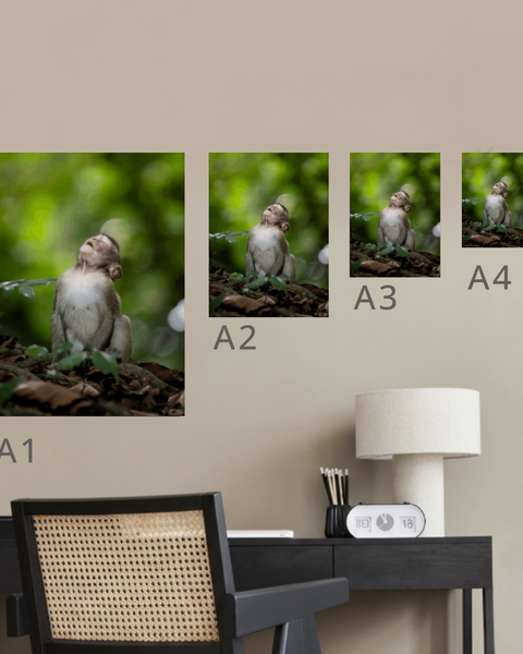 Long-Tailed Macaque Canvas Portrait Recycled