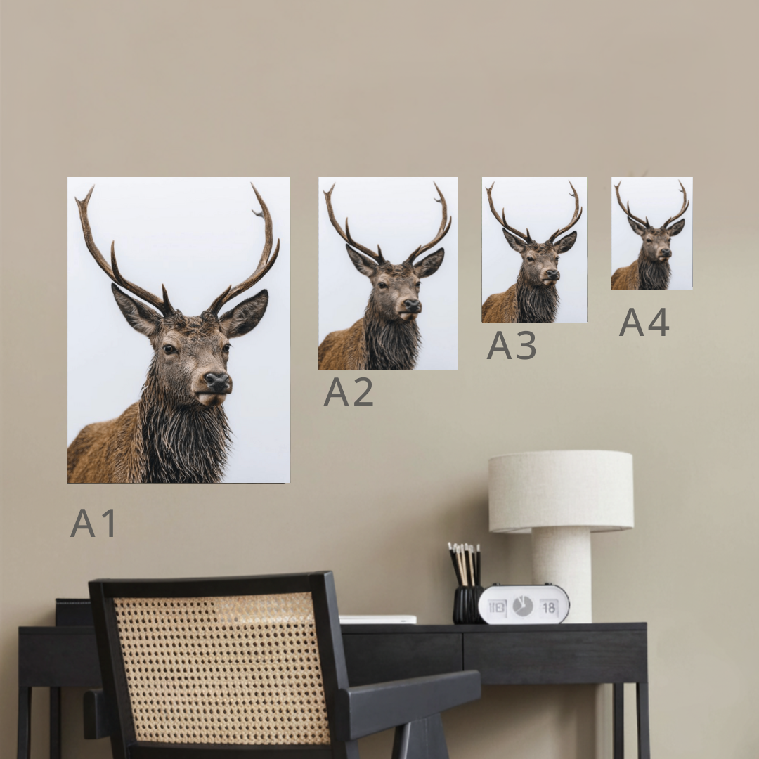 Red Deer Canvas Portrait Recycled