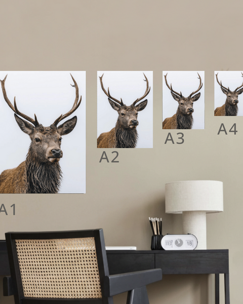Red Deer Canvas Portrait Recycled