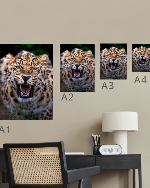 Amur Leopard Canvas Portrait Recycled